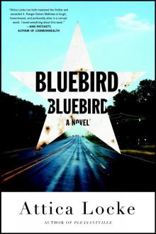 Bluebird, Bluebird Read online