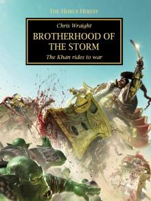Brothers of the Storm Read online