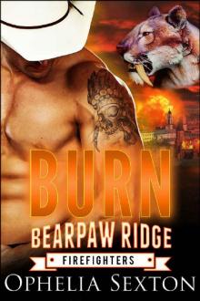 Burn (Bearpaw Ridge Firefighters Book 5) Read online