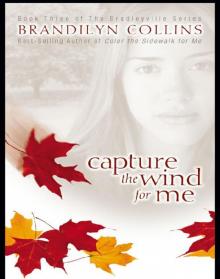 Capture the Wind for Me Read online