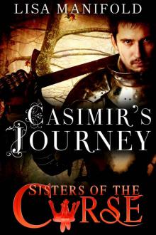 Casimir's Journey Read online