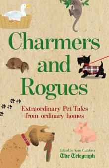 Charmers and Rogues