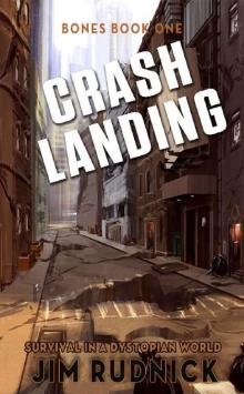 Crash Landing: Survival in a Dystopian World (BONES BOOK ONE 1) Read online