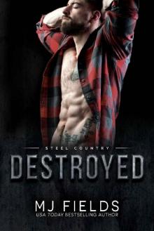 Destroyed: Falcon Brothers (Steel Country Book 2) Read online