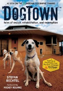 DogTown Read online