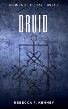 Druid (Secrets of the Fae Book 2) Read online