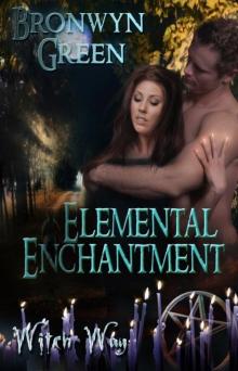 Elemental Enchantment Read online