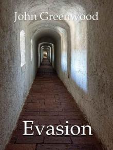 Evasion Read online