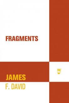 Fragments Read online
