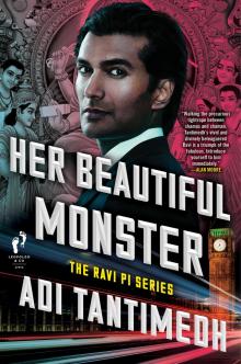 Her Beautiful Monster Read online