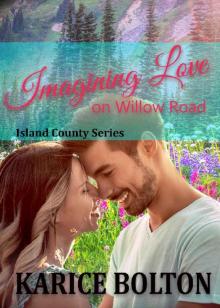 Imagining Love on Willow Road (Island County Series Book 13) Read online