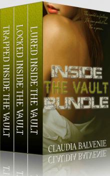 Inside The Vault Bundle: (Billionaire Alpha Male, Post Apocalyptic BDSM) Read online