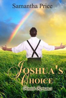 Joshua's Choice: Amish Romance (Seven Amish Bachelors Book 3) Read online