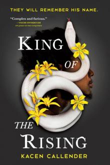 King of the Rising Read online