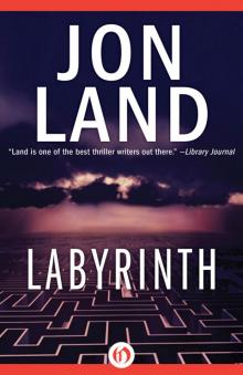 Labyrinth Read online