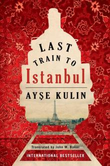 Last Train to Istanbul Read online
