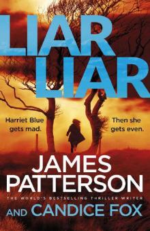 Liar Liar: (Harriet Blue 3) (Detective Harriet Blue Series) Read online