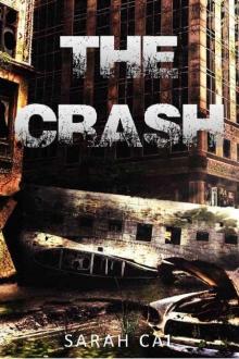 Lights Out (Book 1): The Crash Read online