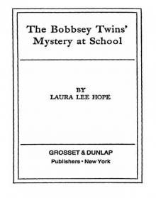 Mystery at School Read online