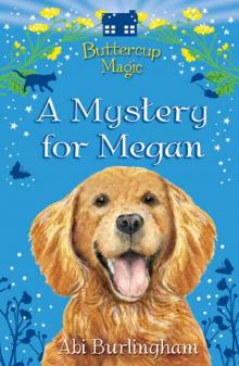 Mystery for Megan Read online