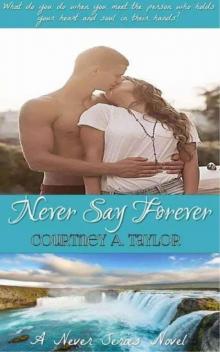 Never say forever (Never series Book 1)