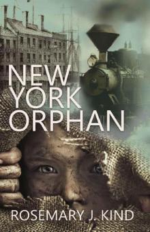 New York Orphan (Tales of Flynn and Reilly Book 1)