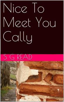 Nice To Meet You Cally (Calliaster Doyle Book 2) Read online