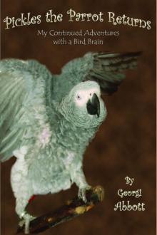 Pickles The Parrot Returns: My Continued Adventures with a Bird Brain Read online