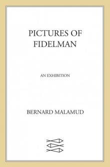 Pictures of Fidelman Read online