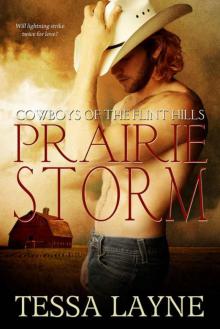 Prairie Storm (Cowboys of The Flint Hills #4) Read online