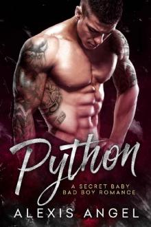 Python: A Secret Baby Bad Boy Romance Read online
