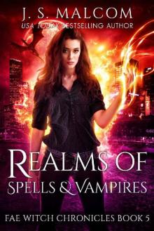Realms of Spells and Vampires: Fae Witch Chronicles Book 5 Read online
