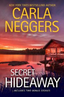 Secret Hideaway Read online