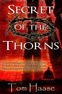 Secret of the Thorns: Political Thriller (Donavan Chronicles Book 1) Read online