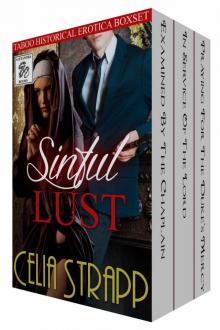 Sinful Lust: Taboo Historical Erotica Box Set