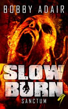 Slow Burn (Book 9): Sanctum Read online