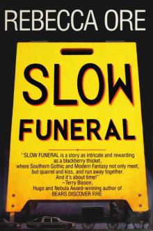 Slow Funeral Read online