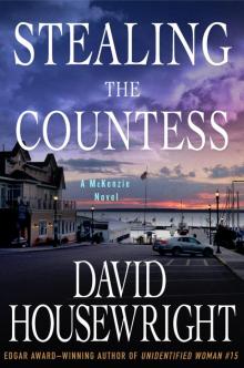 Stealing the Countess Read online