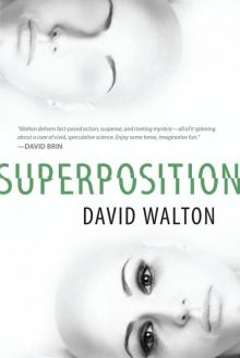 Superposition Read online