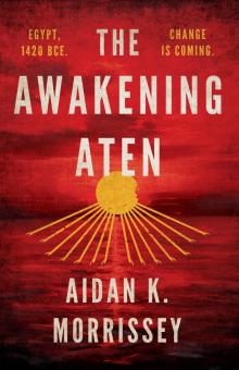 The Awakening Aten Read online
