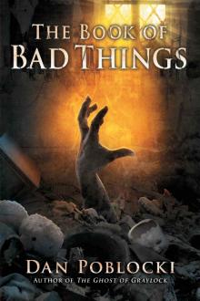The Book of Bad Things Read online
