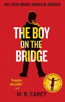 The Boy on the Bridge Read online
