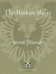 The Broken Shore Read online