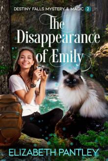 The Disappearance of Emily: Destiny Falls Mystery & Magic Series Book 2