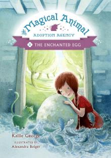 The Enchanted Egg Read online