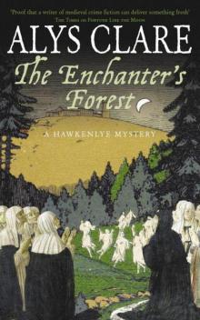 The Enchanter's Forest Read online