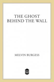 The Ghost Behind the Wall Read online