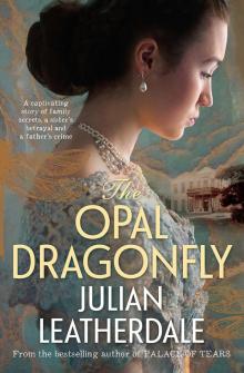 The Opal Dragonfly Read online