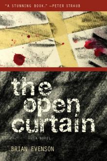 The Open Curtain Read online