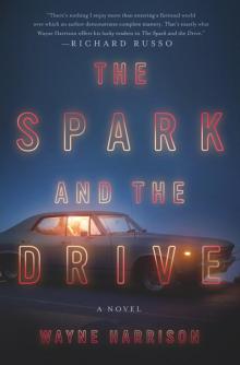 The Spark and the Drive Read online